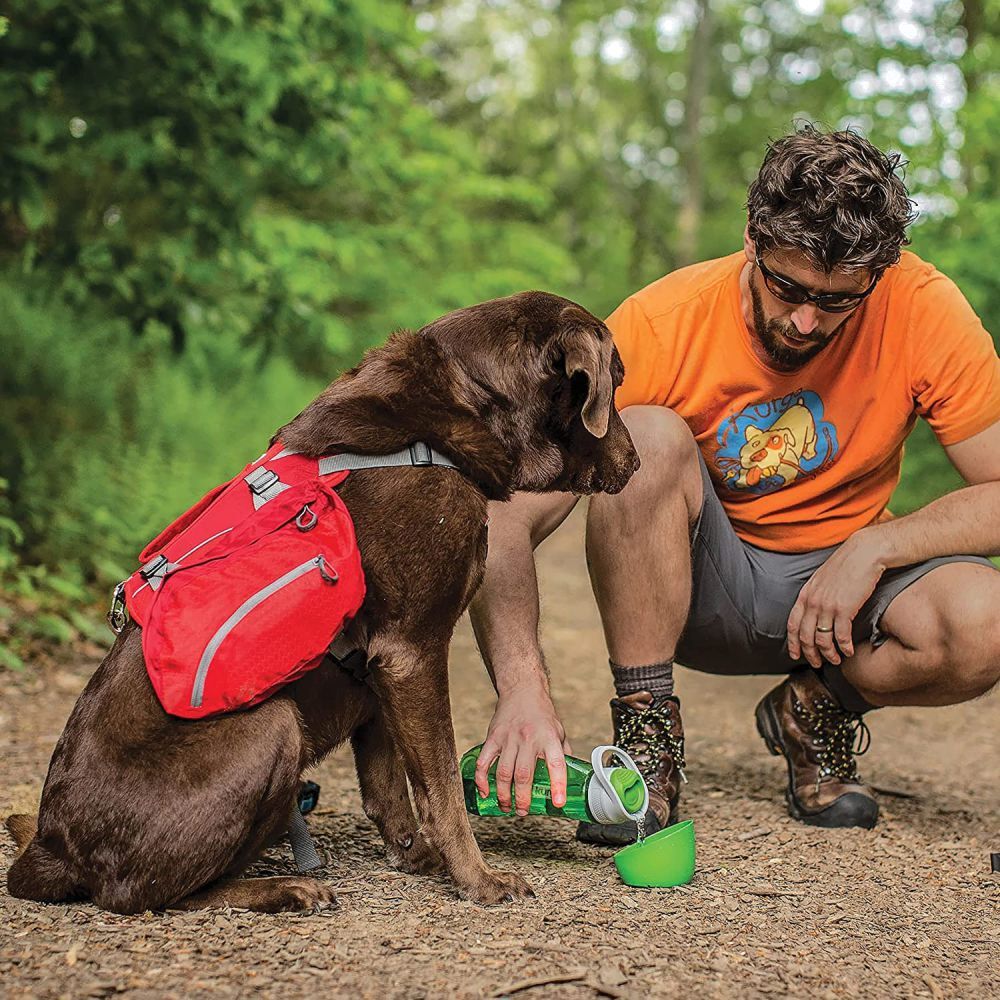 Kurgo Gourd Travel Dog Water Bottle & Dog Water Dispenser Grass Green image