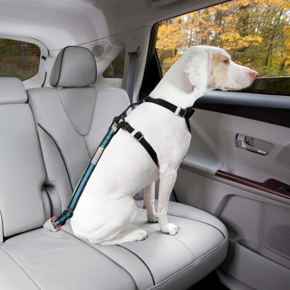 Kurgo Direct to Seat Belt Tether image