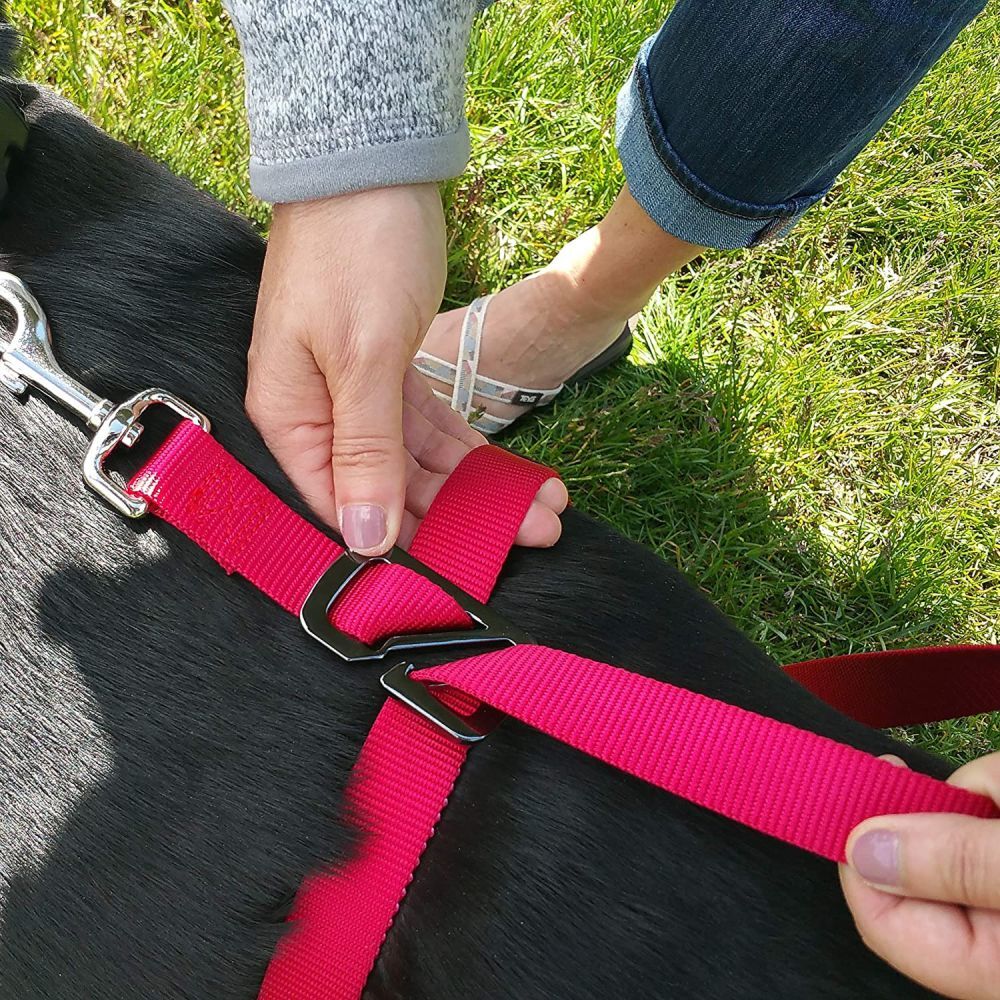 Kurgo Leash Cleat image