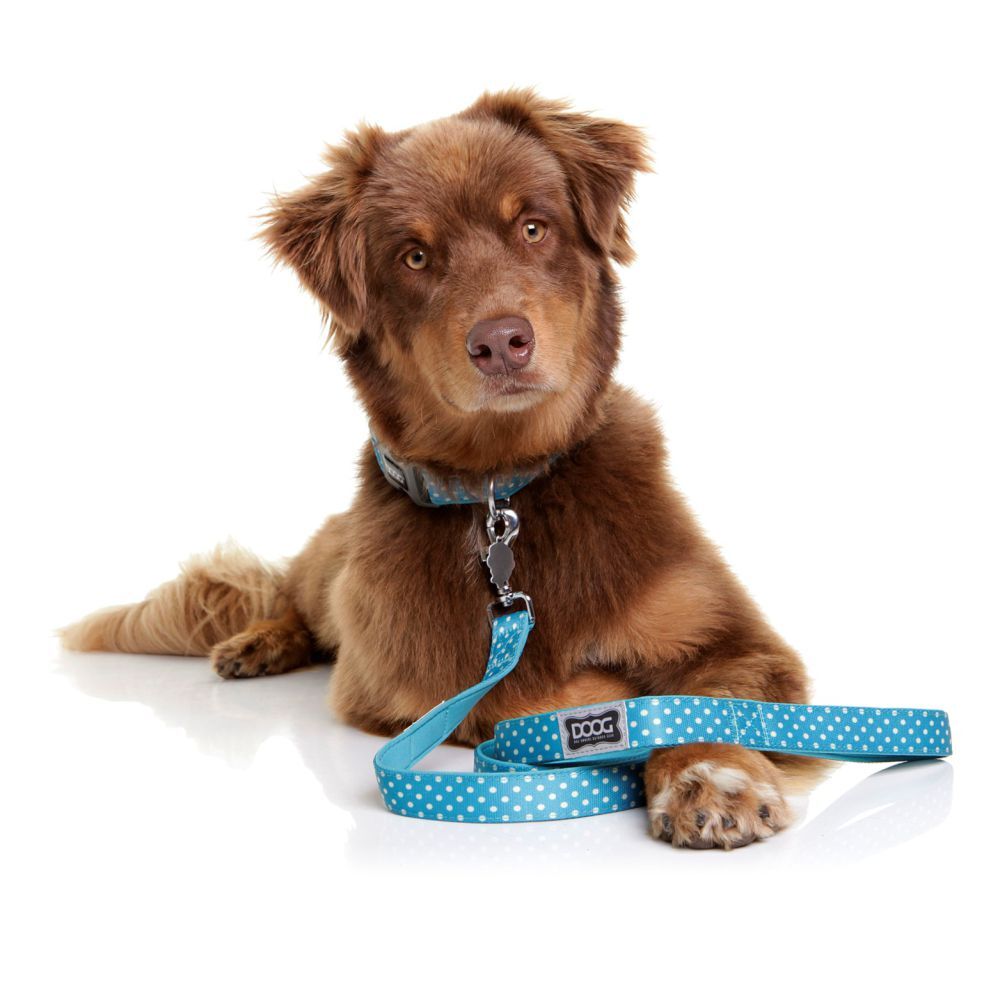 DOOG Neoprene Dog Lead Snoopy (Small) image