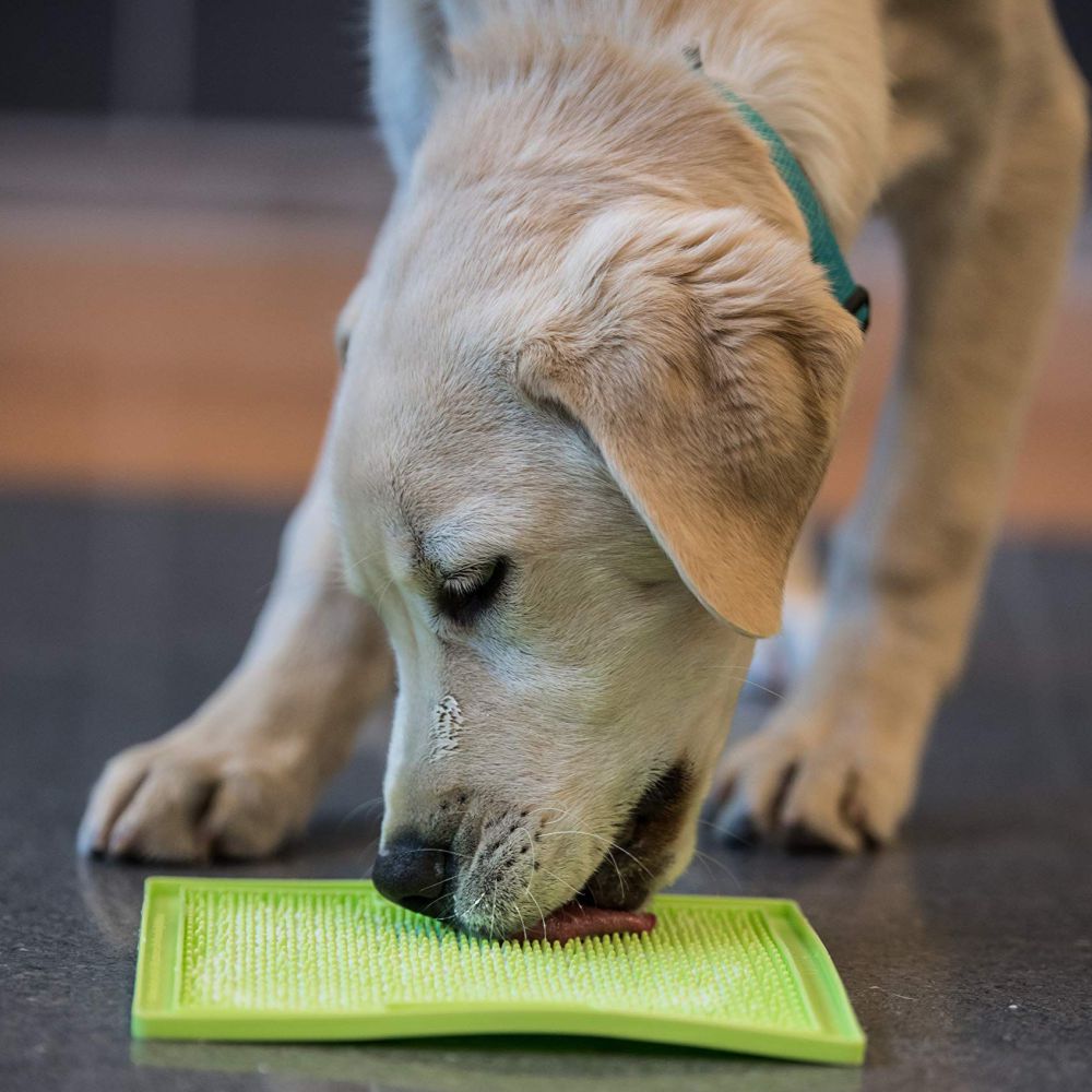LickiMat Soother for Cats & Dogs image