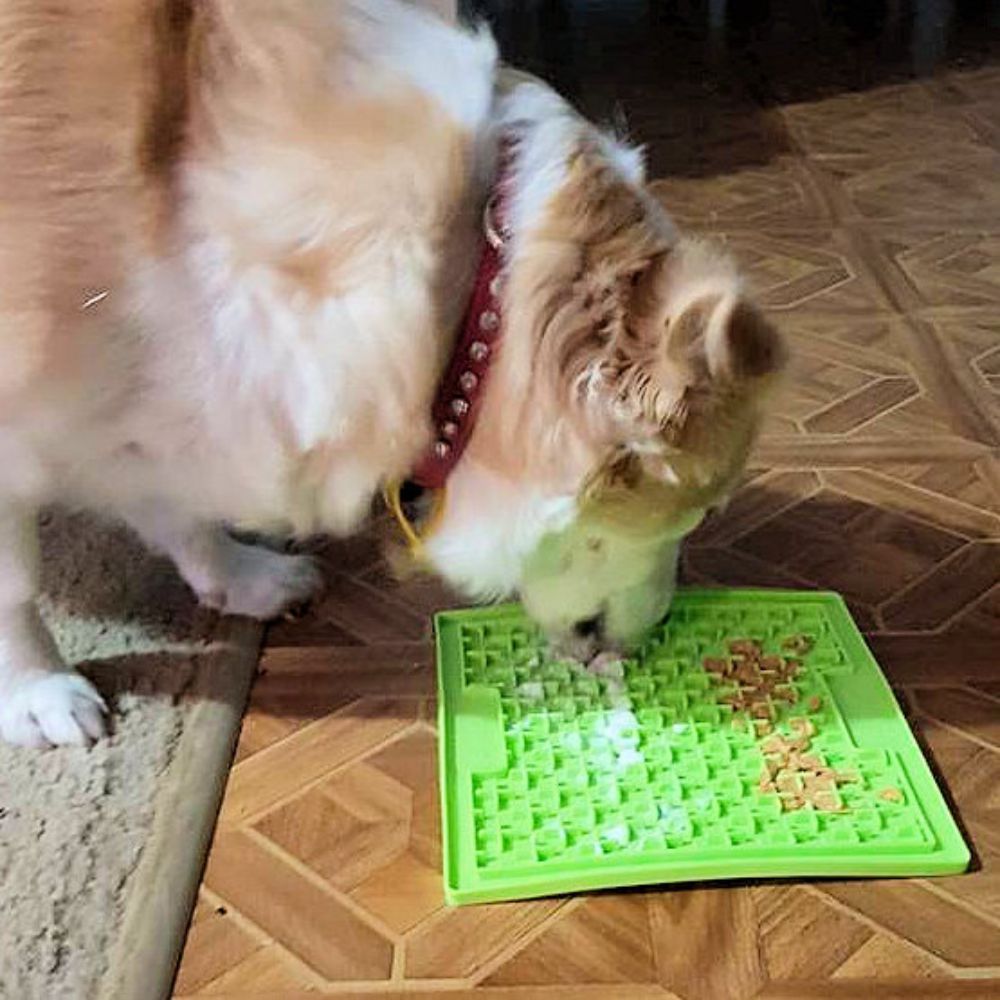 LickiMat Buddy for Cats & Dogs image