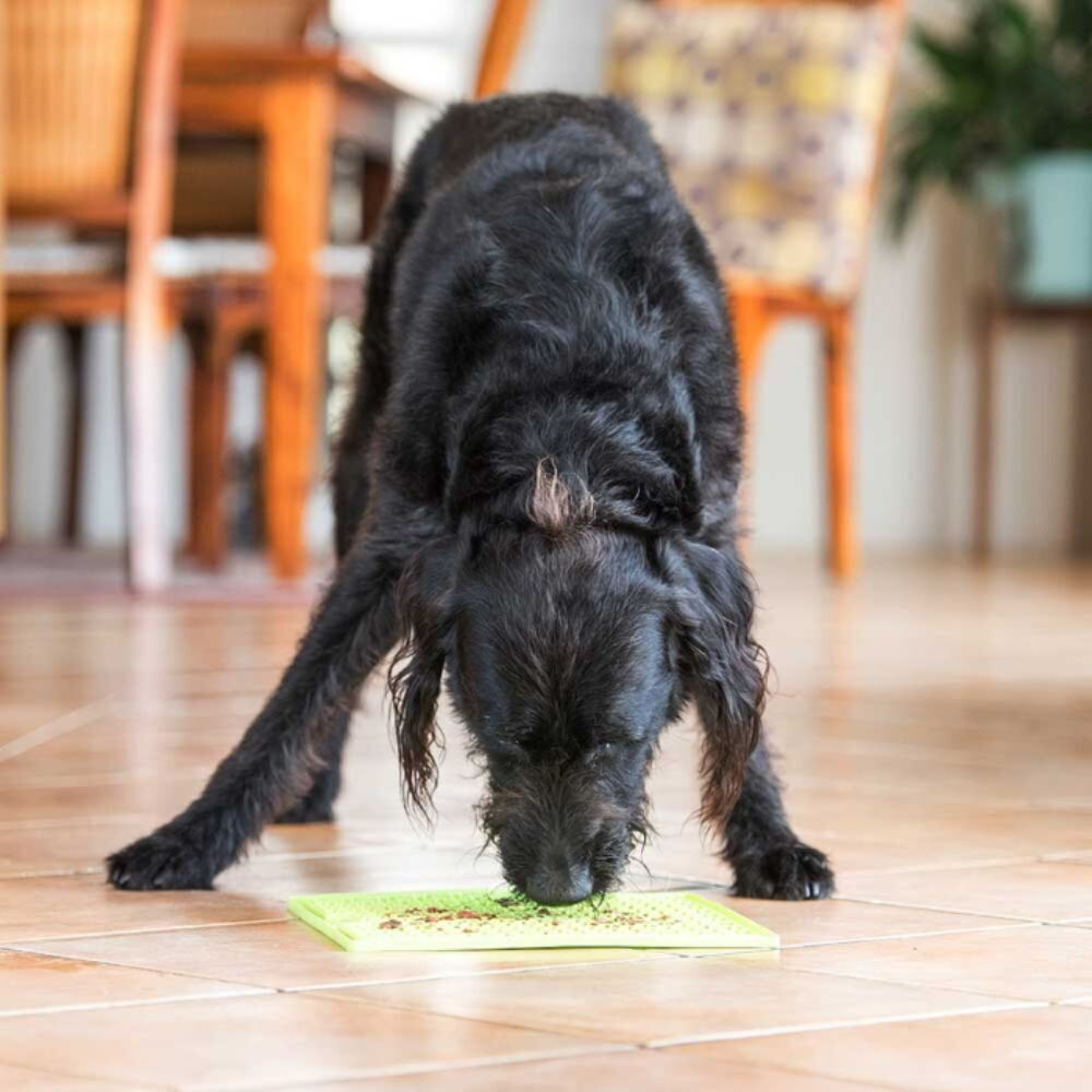 LickiMat Soother X-Large Mat for Cats & Dogs image