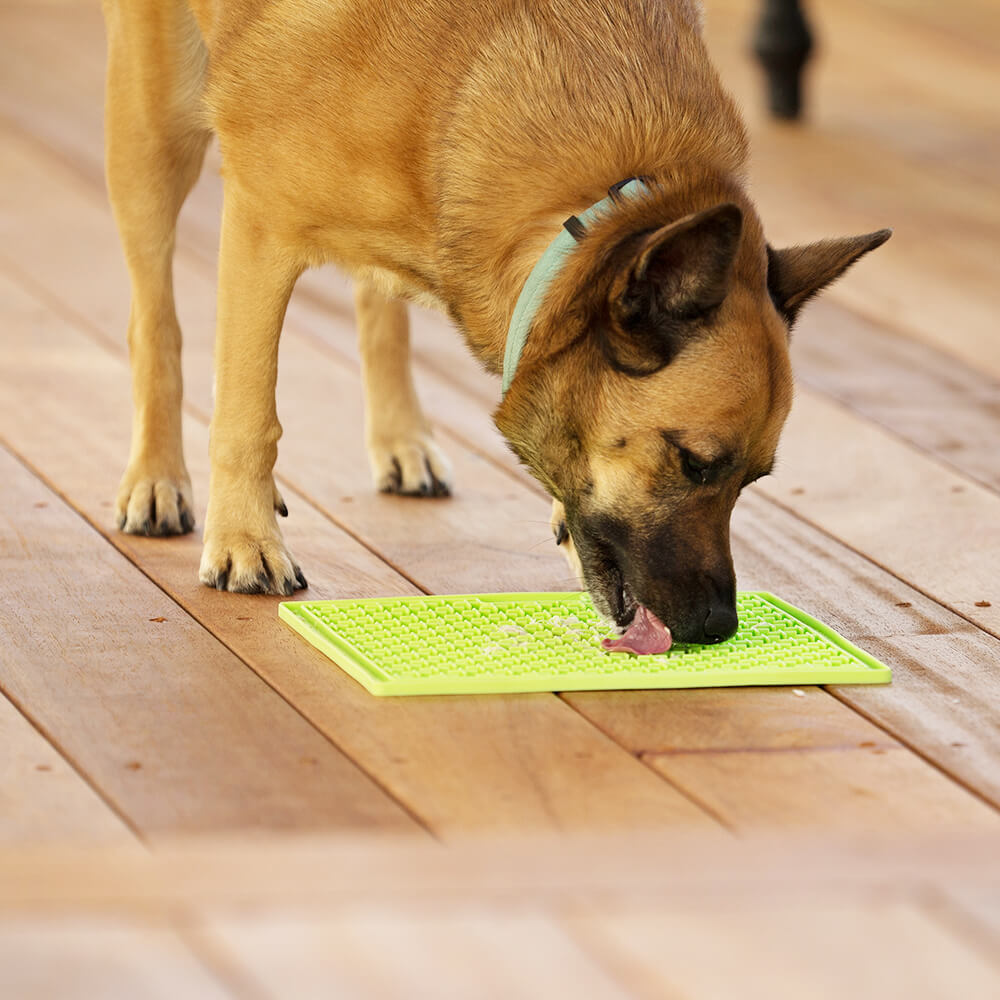 LickiMat Buddy X-Large Mat for Cats & Dogs  image