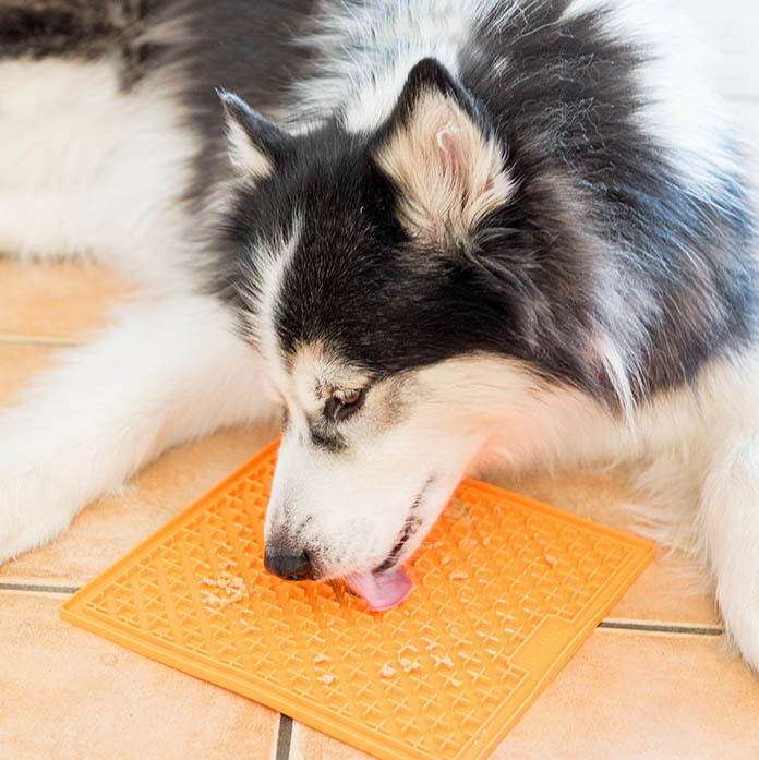 LickiMat Buddy X-Large Mat for Cats & Dogs (Orange) image