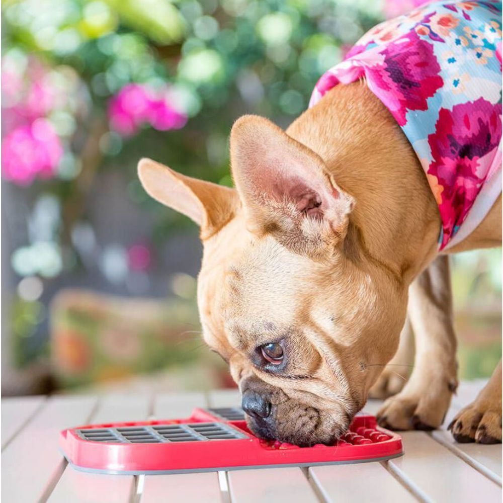 LickiMat SLOMO Deluxe Mat for Cats & Dogs image