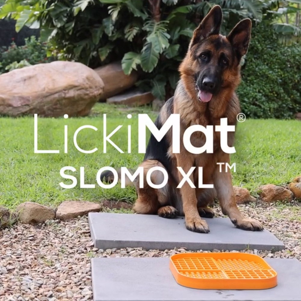 LickiMat SLOMO XL Slow Food Mat for Dogs image