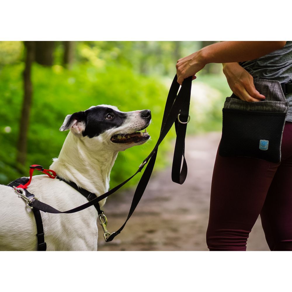 Blue-9 Multi-Function Leash Hunter Green image