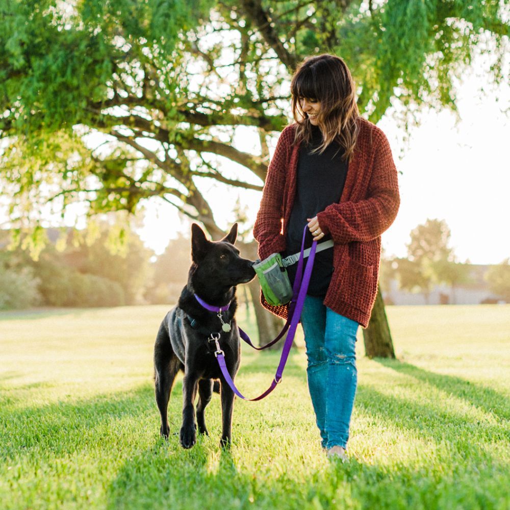 Blue-9 Multi-Function Leash Purple image
