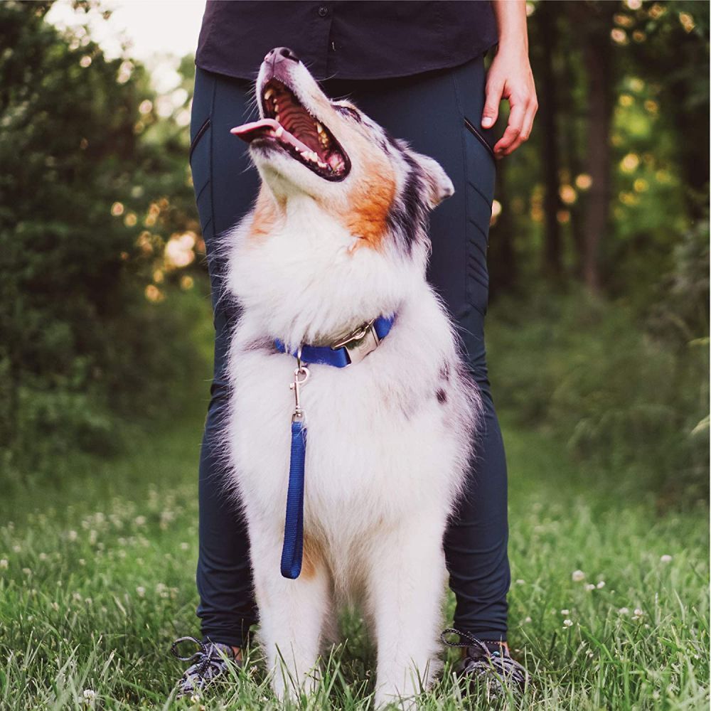 Blue-9  Mini Tab Leash 23cm (8 Colours) image