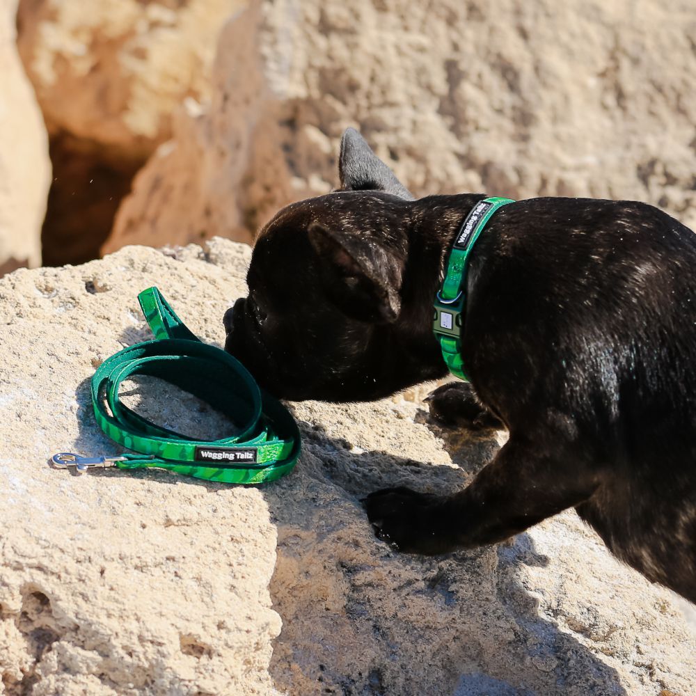 miniZ Camo Green Toy Breed & Puppy Lead 120cm image