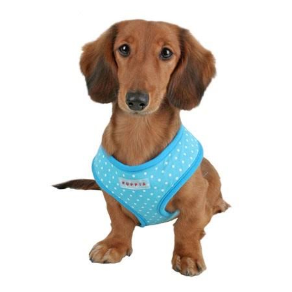 Puppia Dotty Dog Harness Blue Large image