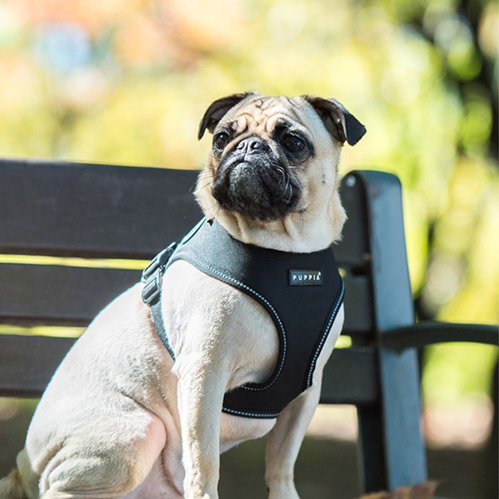 Puppia Trek Dog Harness Black Small image