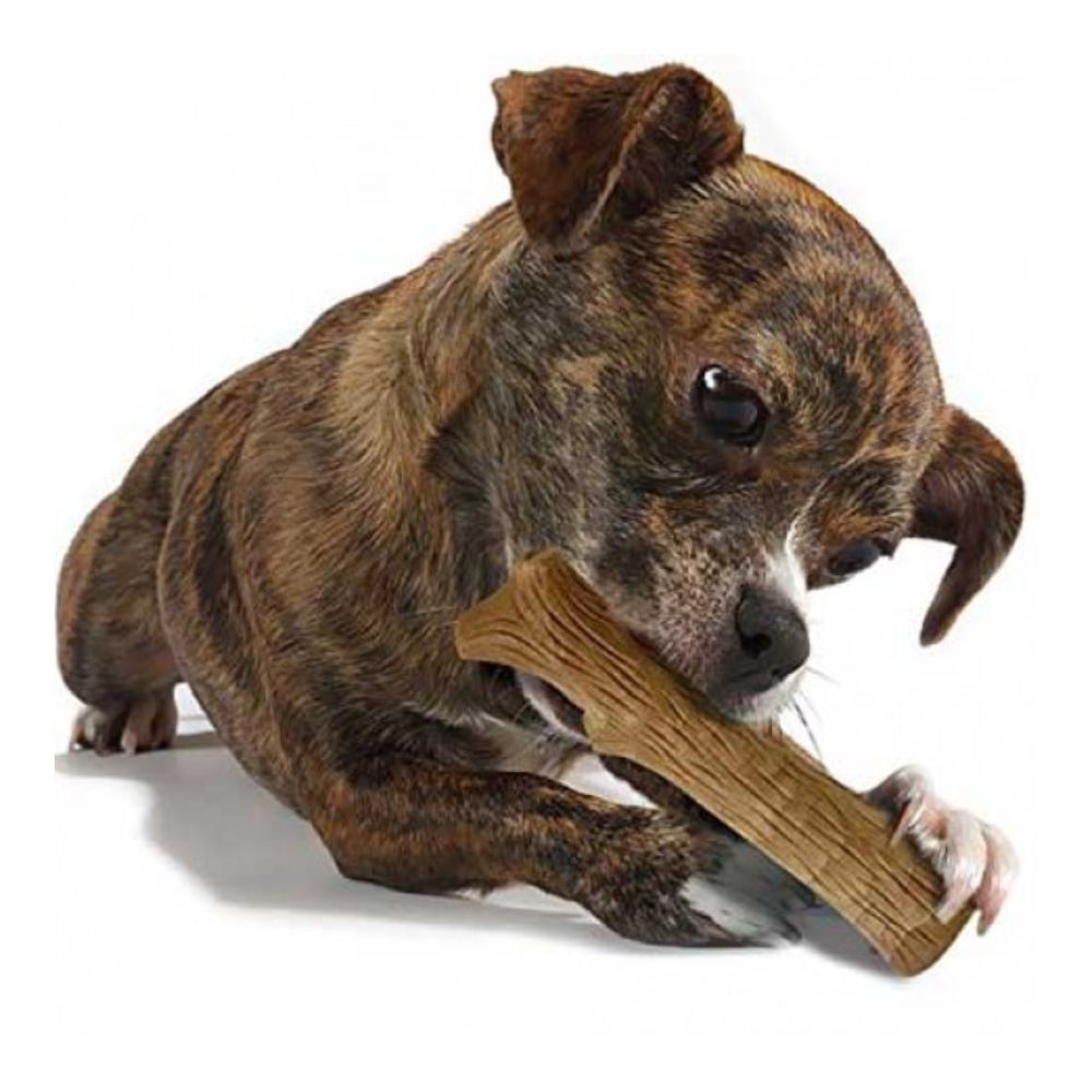 Petstages Dogwood Dog Chew Toy (Petite) image