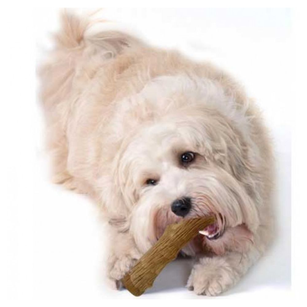 Petstages Dogwood Dog Chew Toy (Small) image