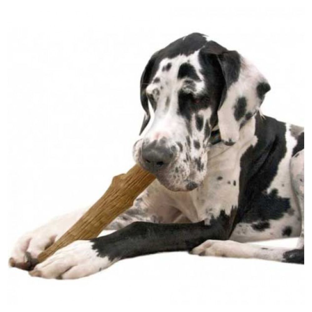 Petstages Dogwood Dog Chew Toy (Large) image