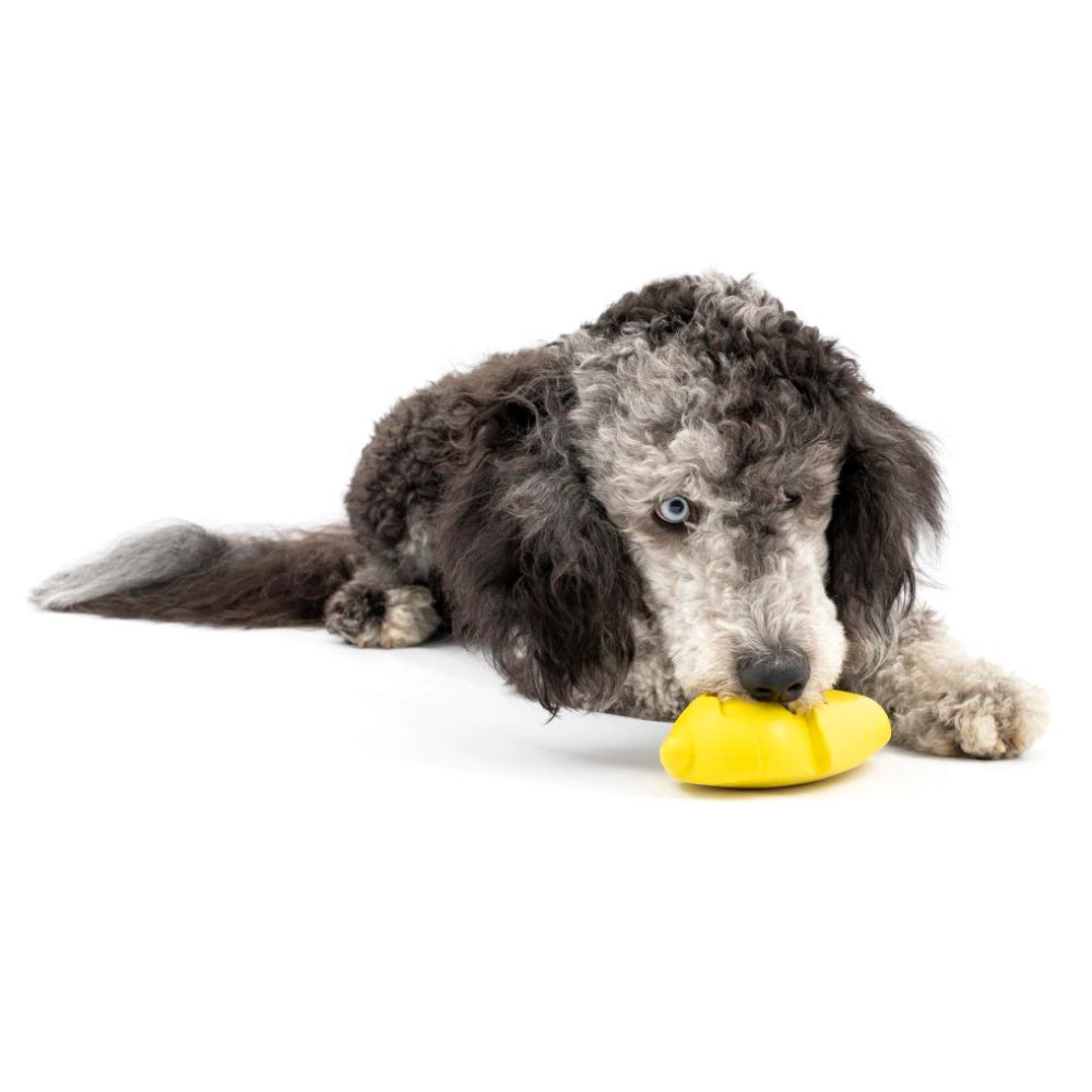 Petsafe Freezable Treat Holding Frosty Cone Dog Toy S, M/L image
