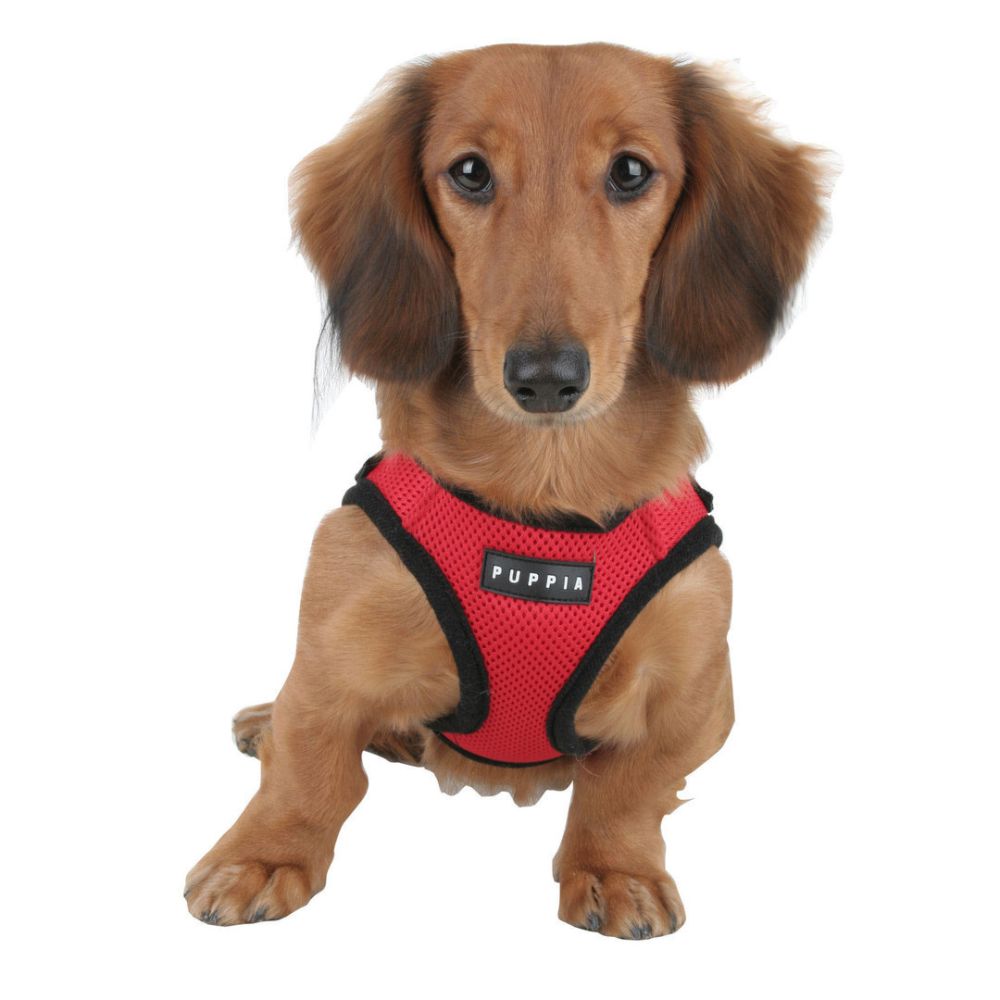 Puppia Soft Air-Mesh Dog Harness Red XL image