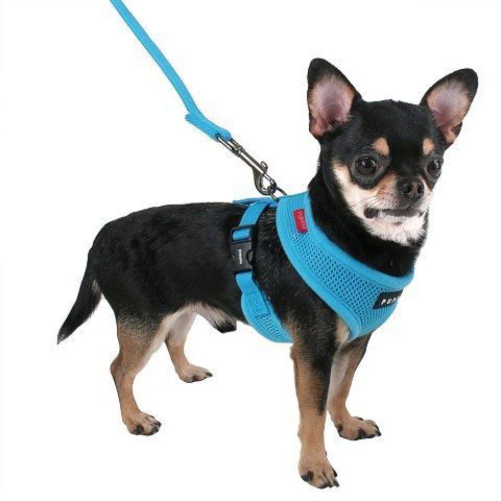 Puppia Soft Air-Mesh Dog Harness Sky Blue L, XL image