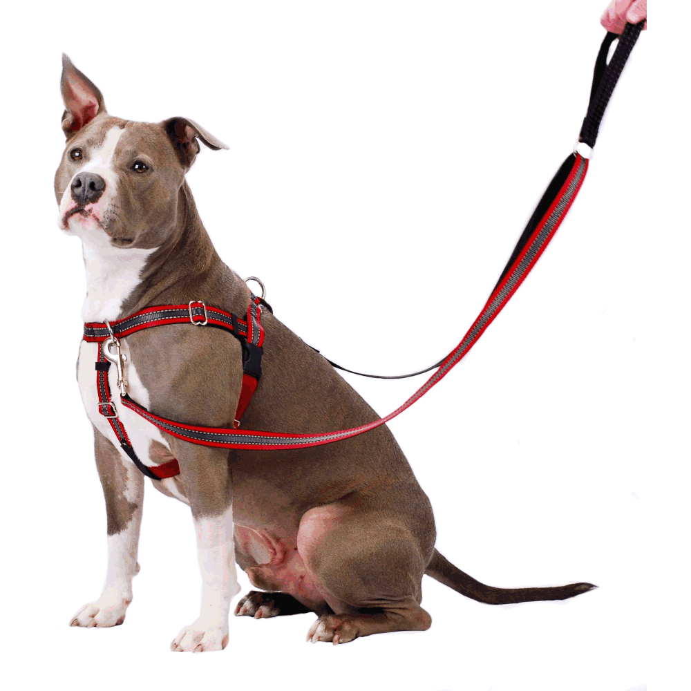 Freedom Training Dog Lead Reflective Red with Black Handle image