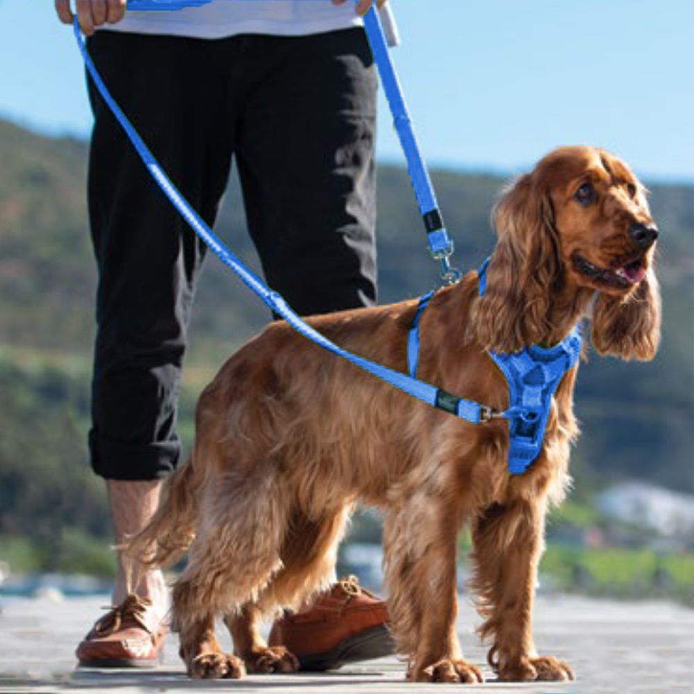 ROGZ Control Dog Harness, Blue S, M, L, XL image