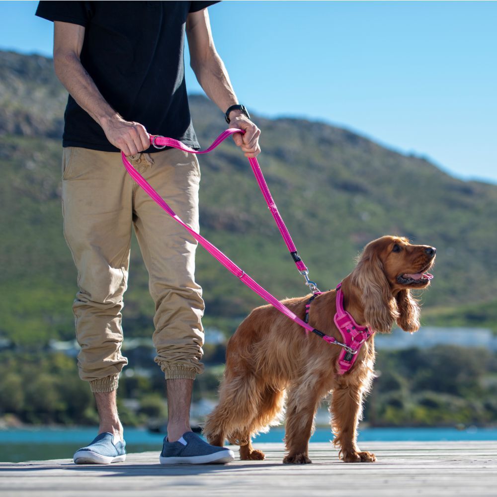 ROGZ Control Dog Harness, Pink S, M, L, XL image