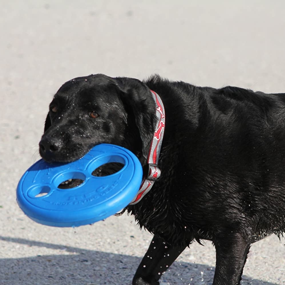 Rogz RFO Frisbee Fetch Dog Toy Blue, L image