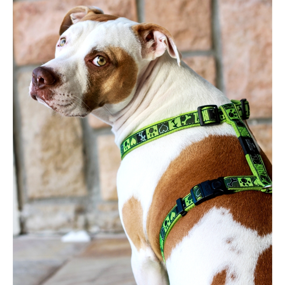 Rogz Classic Harness Fancy Dress, Lime Juice Design (XLarge) image