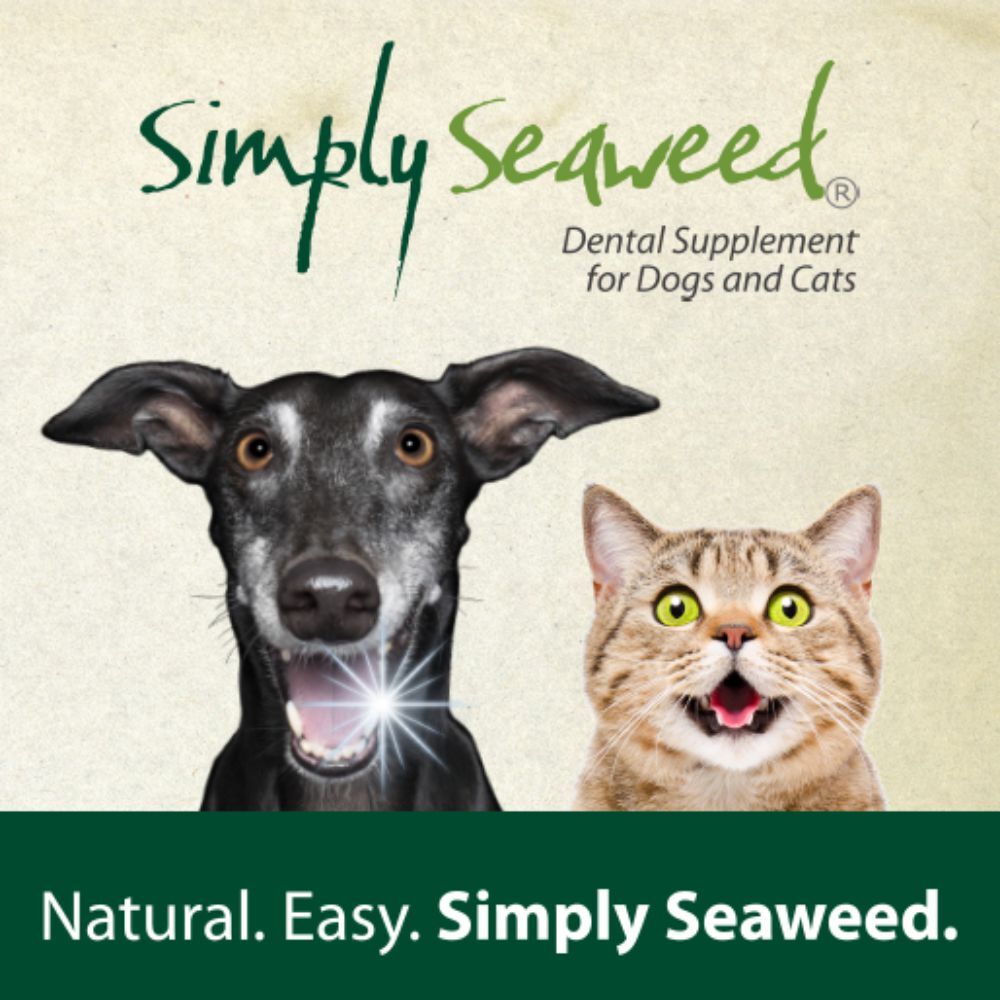 Simply Seaweed Natural Dental Health Care (40g) image