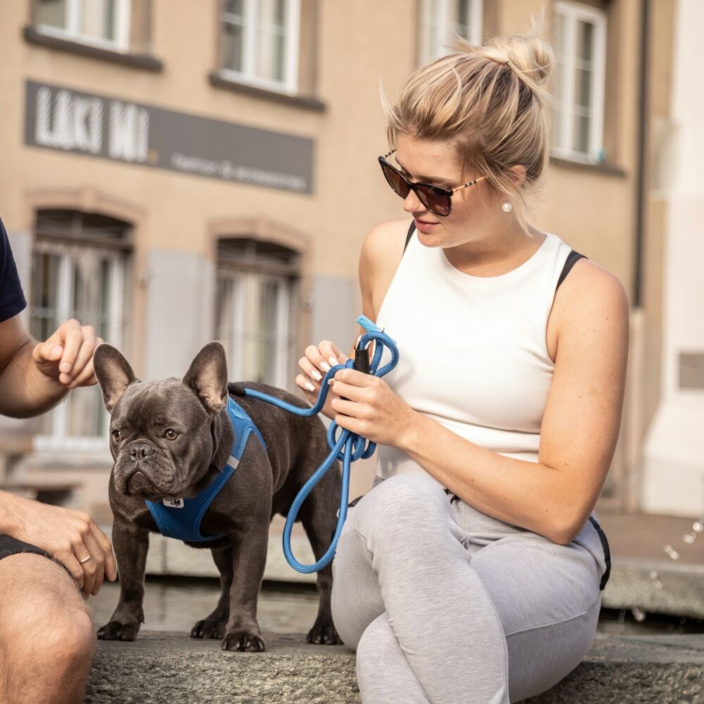 Curli Stretch Comfort Dog Leash Blue (Large) image