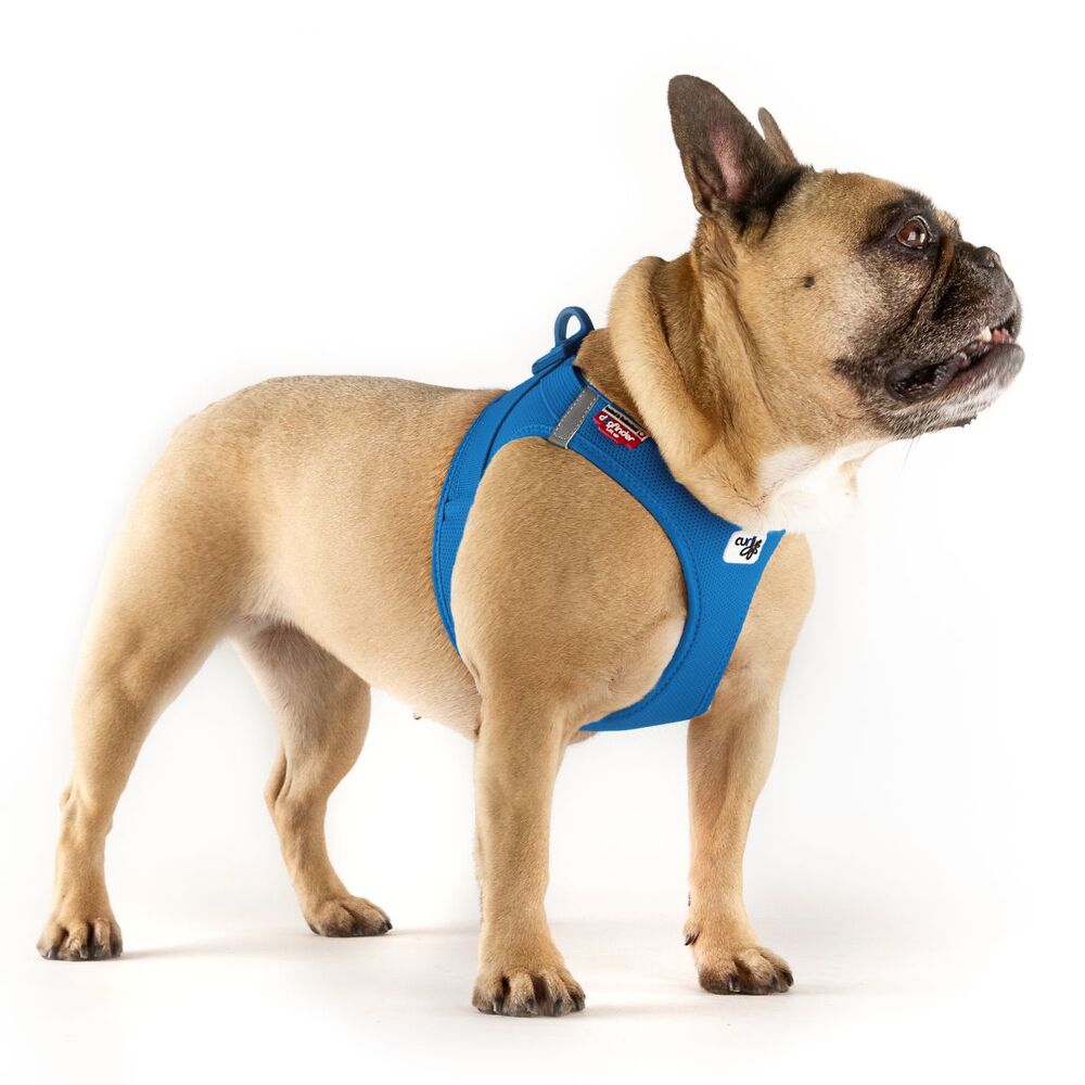 Curli Vest Air Mesh Dog Harness Blue (Medium) image