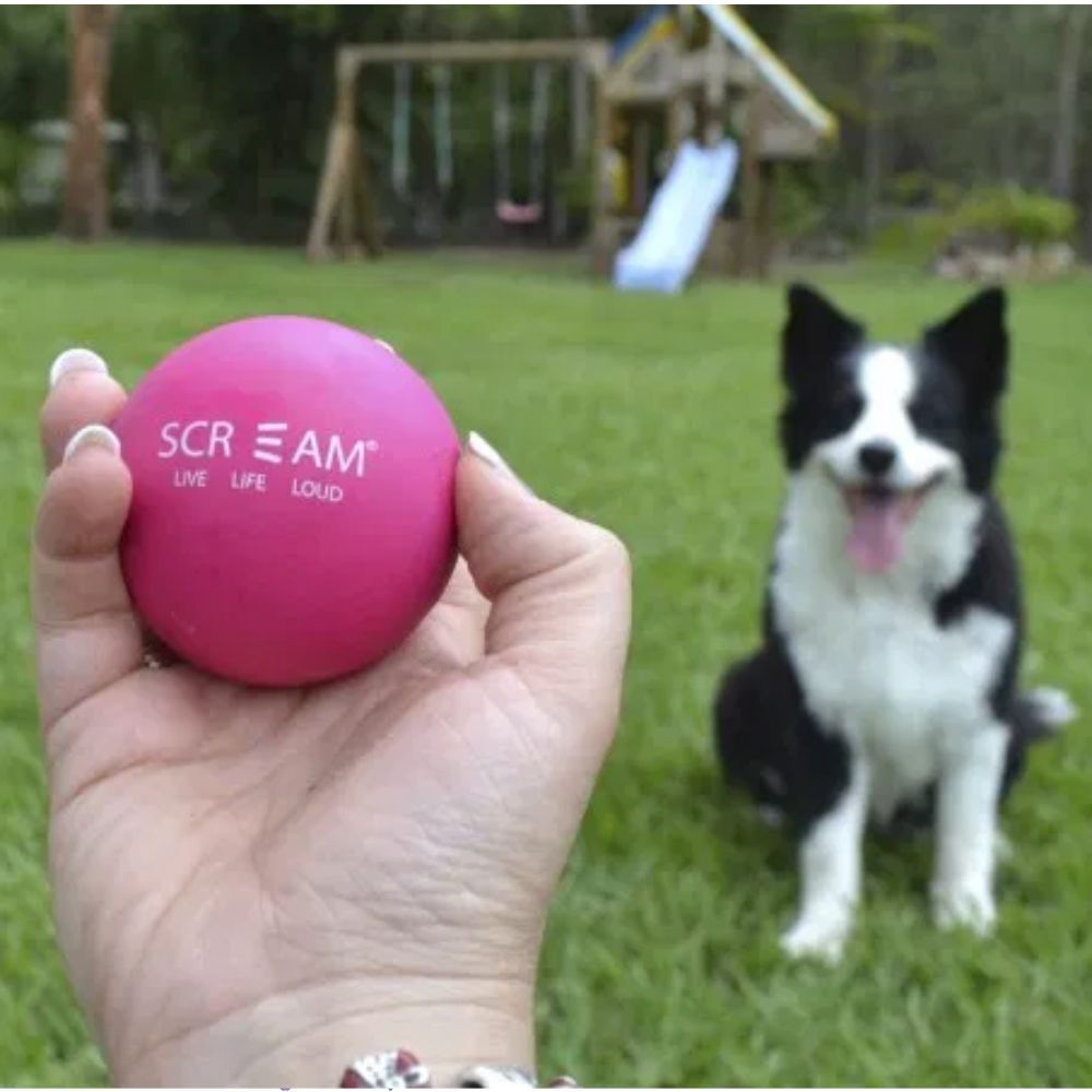 Scream High Bounce Chase Float 6cm Rubber Dog Ball (Loud Pink) image