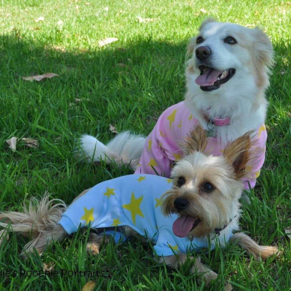 Dog Pyjama's Blue (Blue 1 (XS) 20cm) image