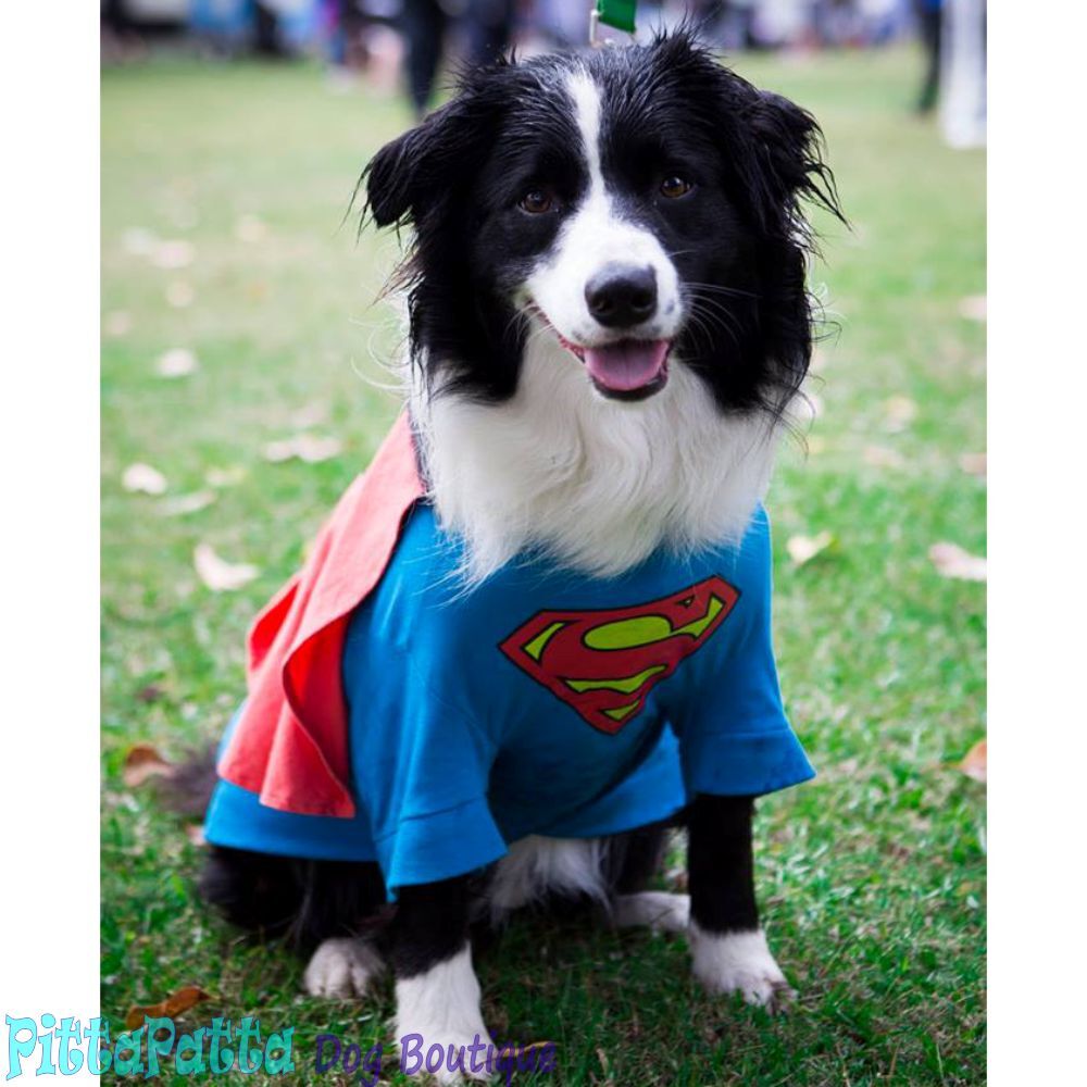 Superman Dog Costume (40cm) image