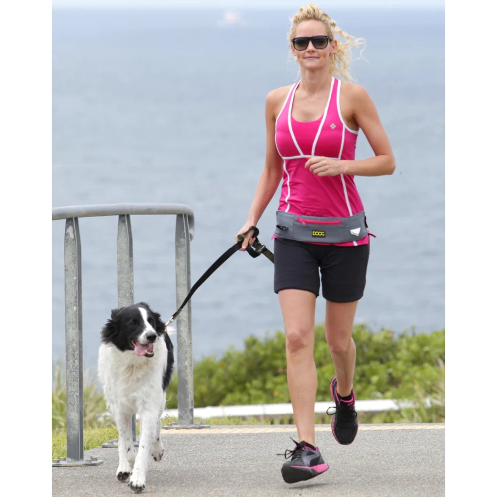 DOOG Walkie Belt Grey & Pink image