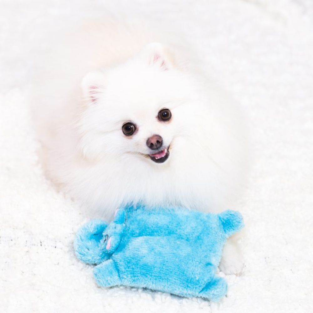 Zippy Paws Squeakie Pad Hippo Dog Toy image