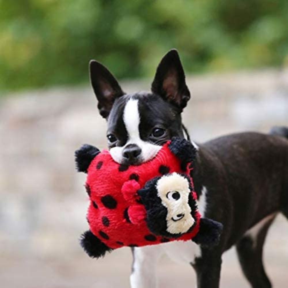 Zippy Paws Squeakie Pad Lady Bug Dog Toy image