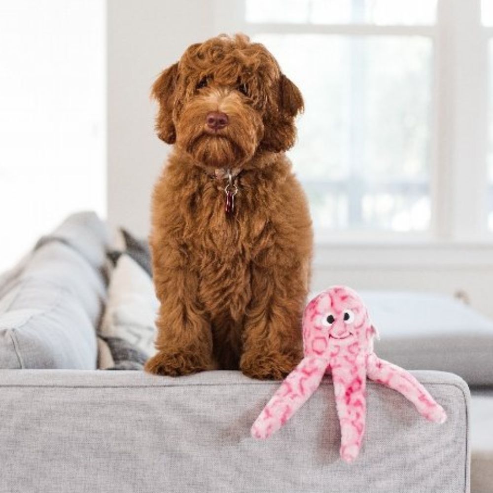 Zippy Paws Floppy Jelly Pink Octopus image