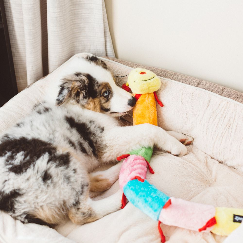 Zippy Paws Caterpillar Deluxe with 6 Blaster Squeakers image