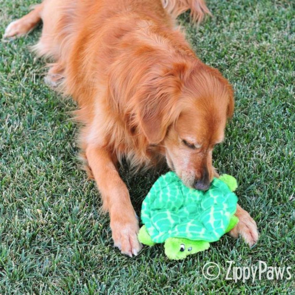 Zippy Paws Squeakie Crawler SlowPoke the Turtle image