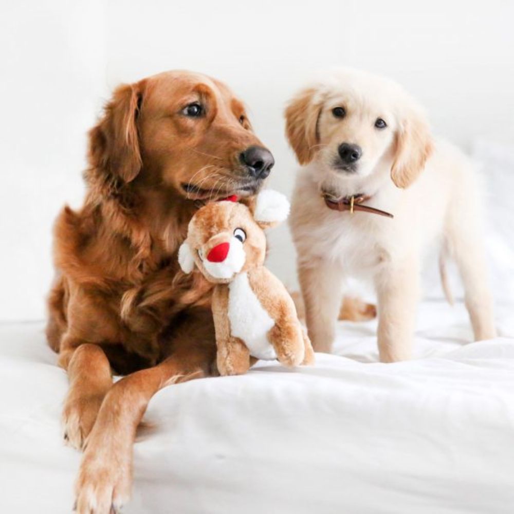 Zippy Paws Christmas Holiday Deluxe Reindeer Dog Toy image