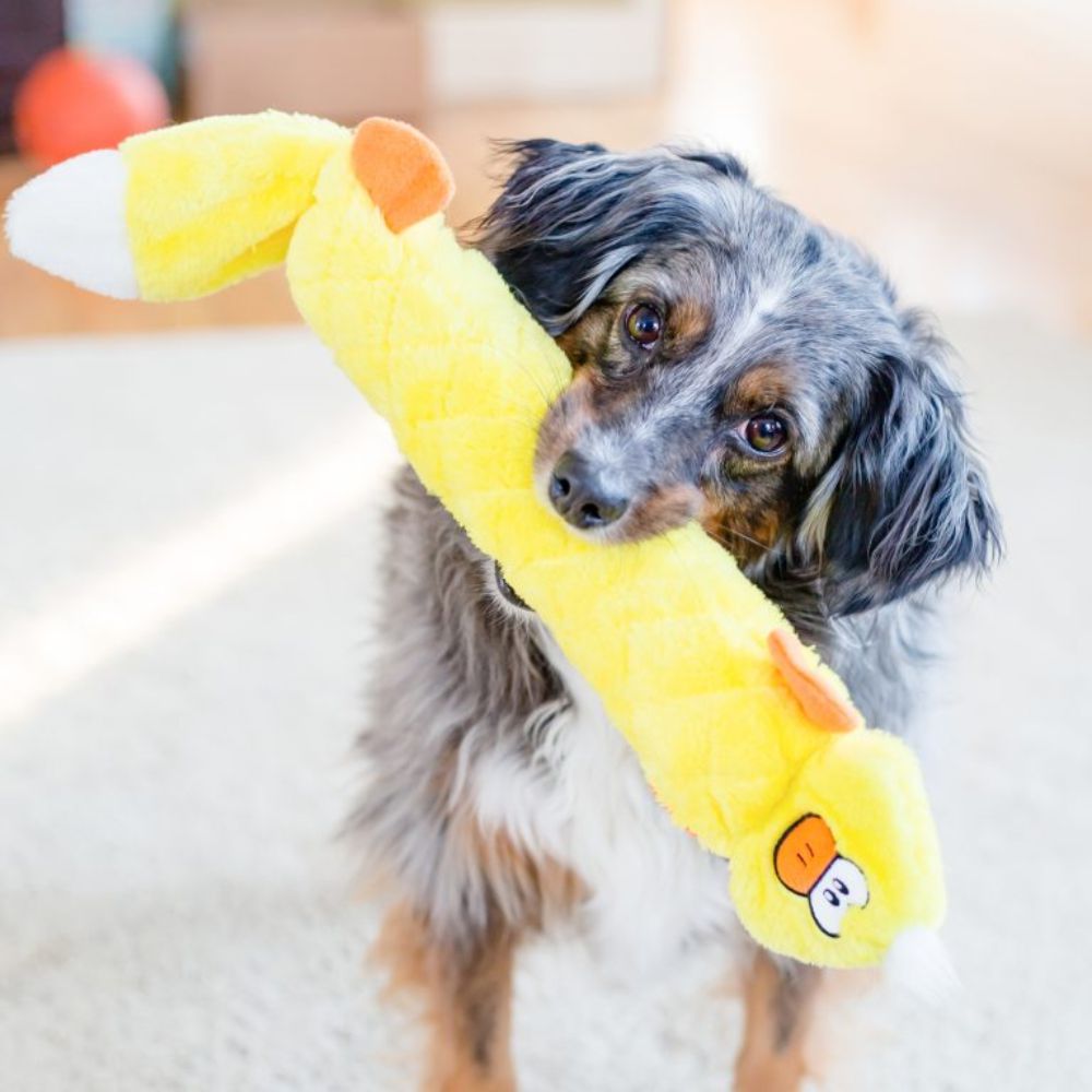 Zippy Paws Jigglerz Duck Shakeable Dog Toy image