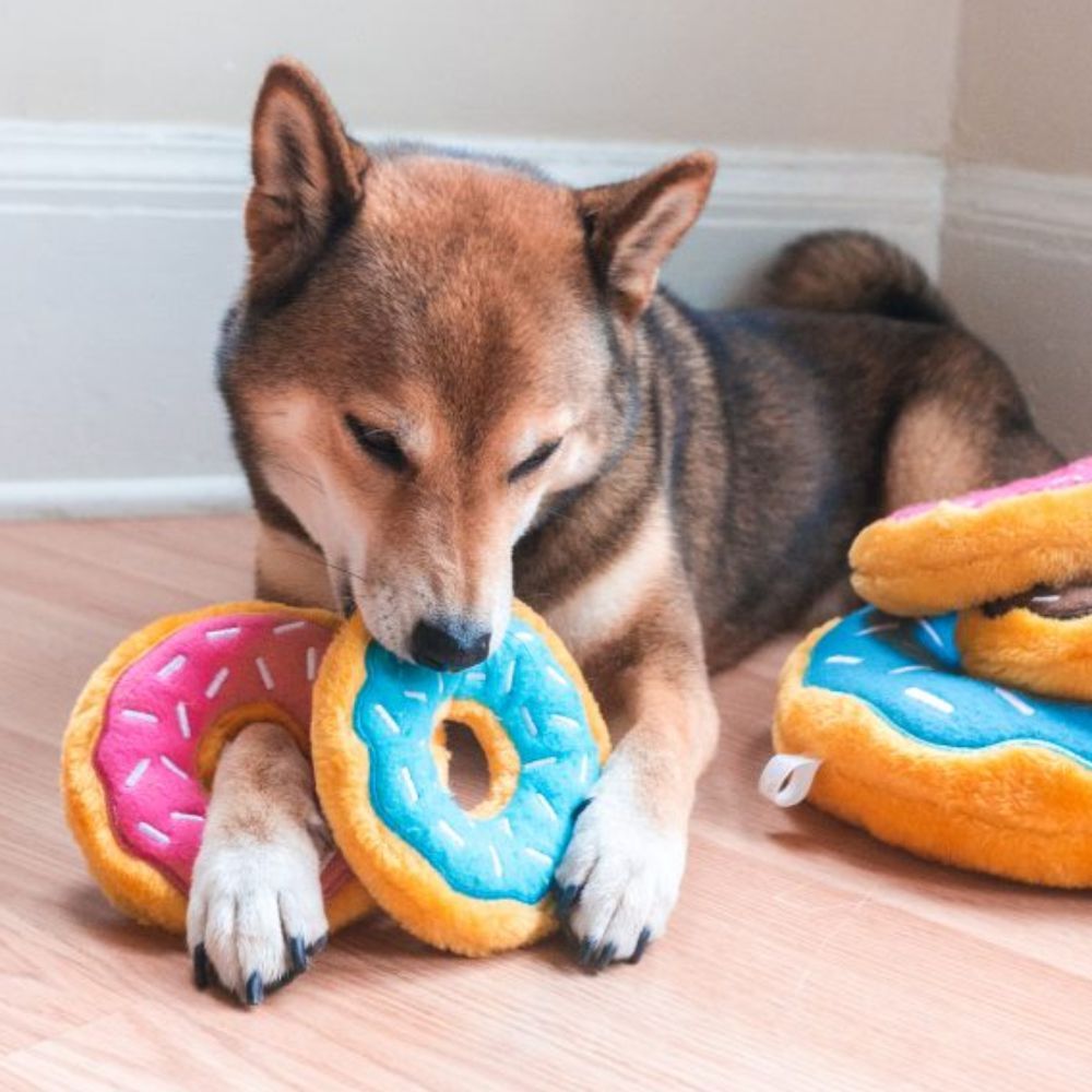 Zippy Paws Donutz Blueberry Dog Toy image