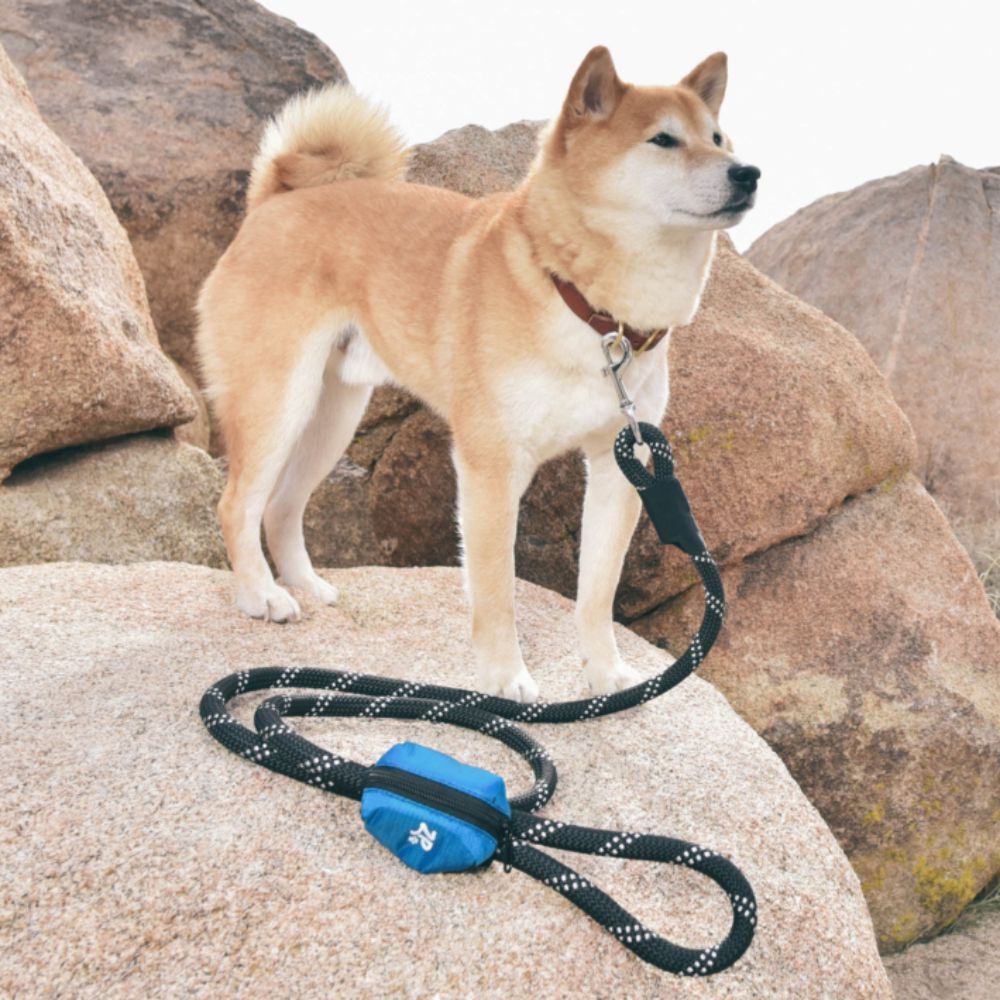 Zippy Paws Adventure Gear Poo Bag Dispenser Glacier Blue image