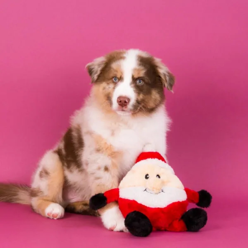 Zippy Paws Christmas Brainey Santa Plush Dog Toy image