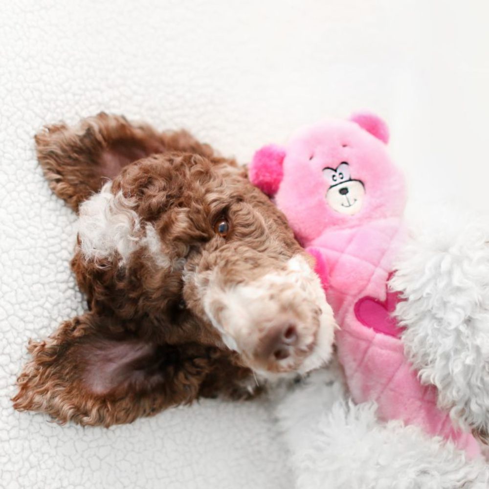 Zippy Paws Jigglerz Shakeable Dog Toy Pink Bear image