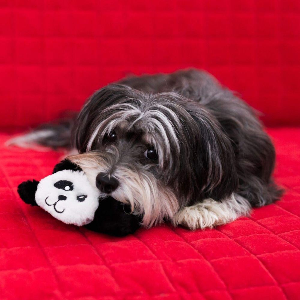 Zippy Paws Squeakie Pads Ladybug & Panda Dog Toys 2 Pack image