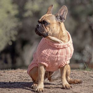 how to get knots out of dog hair