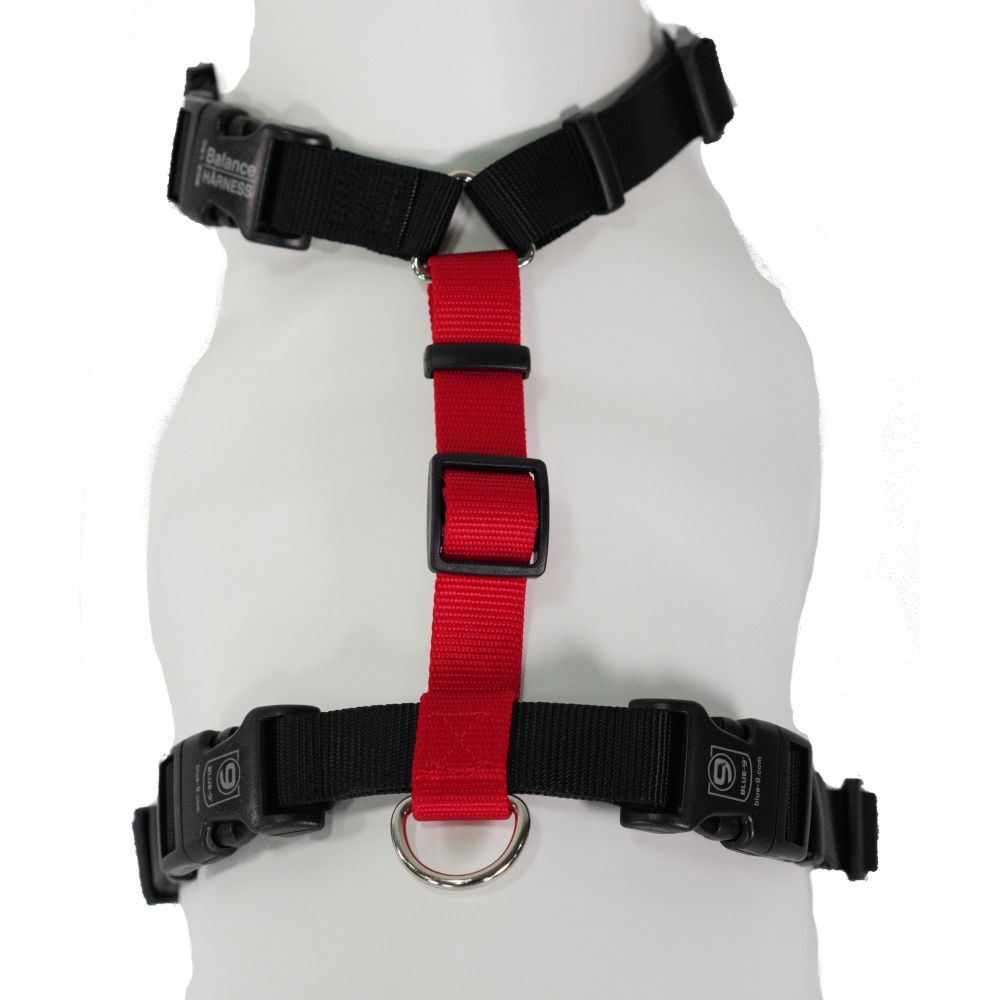 Blue 9 Balance Harness Buckle Neck Red PittaPatta Boutique