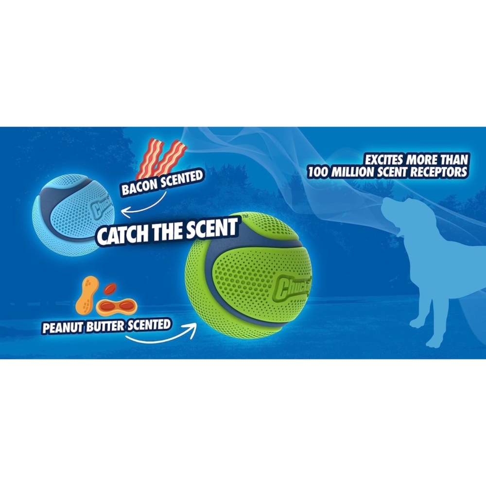 Chuckit Sniff Fetch Dog Ball Bacon Medium PittaPatta Boutique